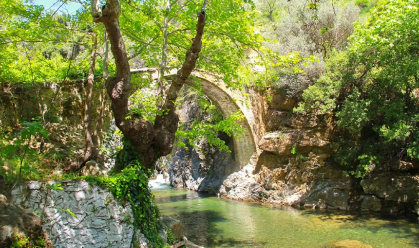 KAZDAĞLARI AYVALIK CUNDA TURU